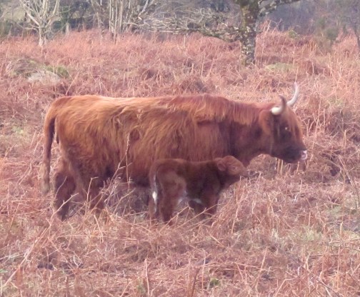 New arrival on the move already