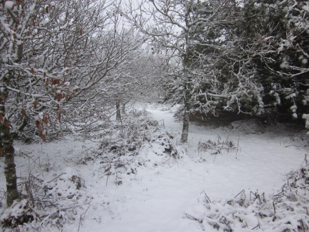 10. Winding path, 18.01.13