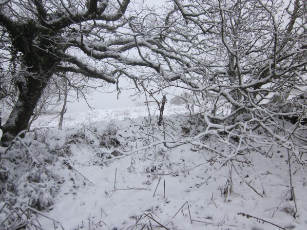 11. North prospect, 18.01.13