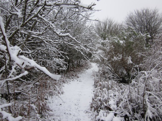 9. Cross-path, 18.01.13