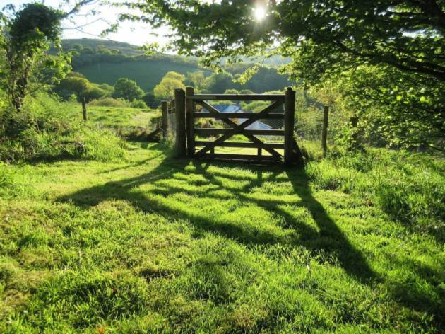 10418415_626095474192624_971823236234342959_n