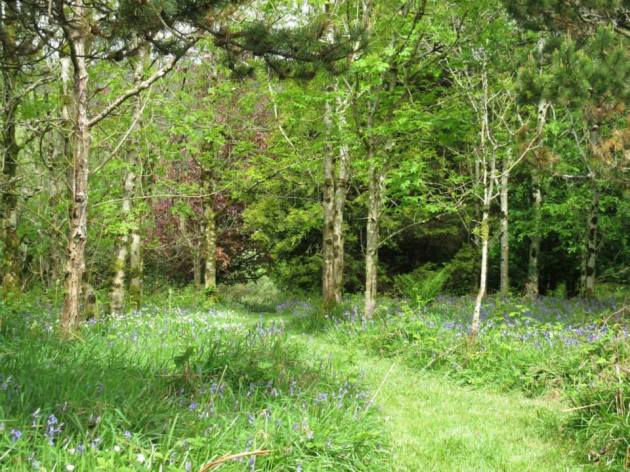 10426267_626094857526019_5419293935494719074_n