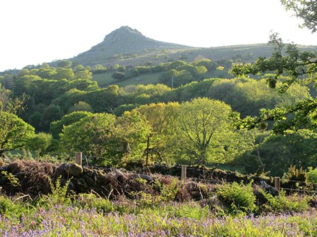 10926215_626095340859304_9044049636518560234_n