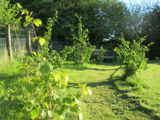 11029641_626095207525984_8115082613632445117_n