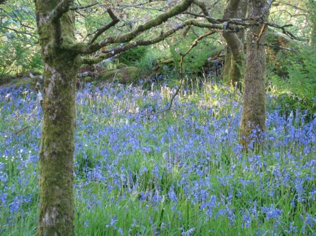 11053094_626095367525968_475472085653728128_n