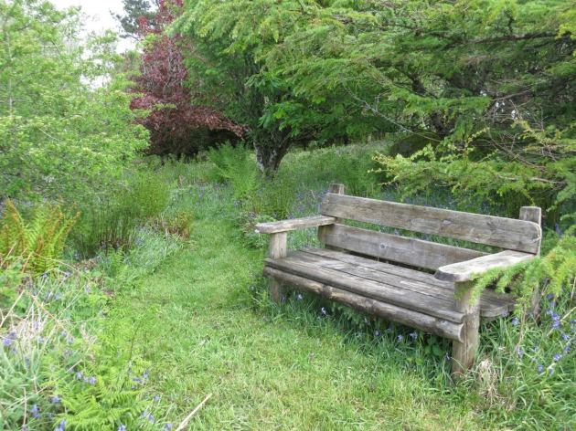 11111152_626094530859385_3984571322628061159_o