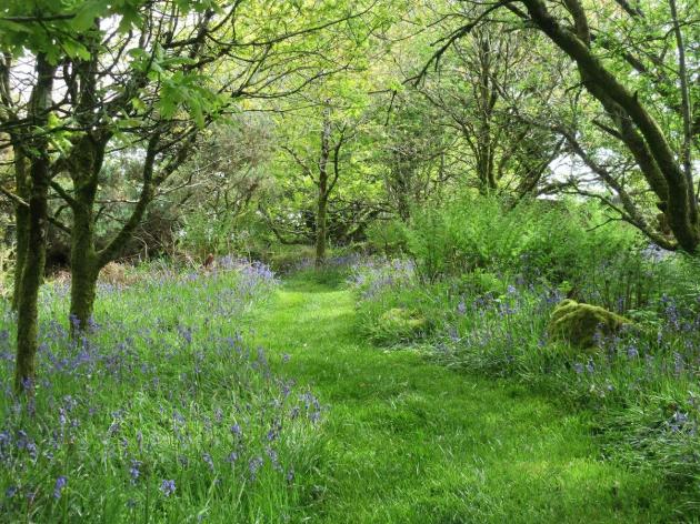 11111152_626094540859384_806473961045902715_o