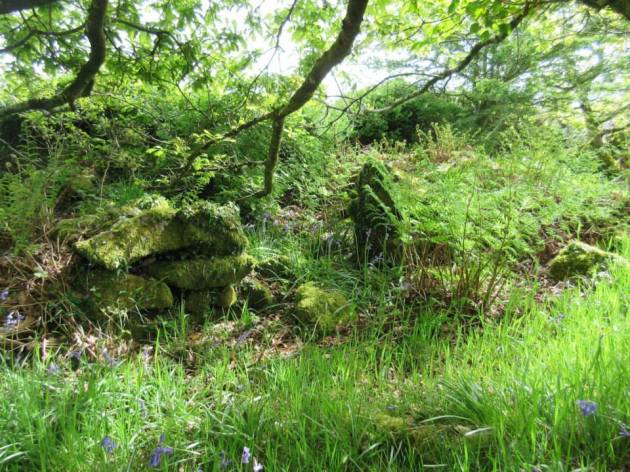 11163741_626094984192673_2907566189681041379_n