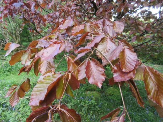 11245786_626095104192661_4298694508873367723_n