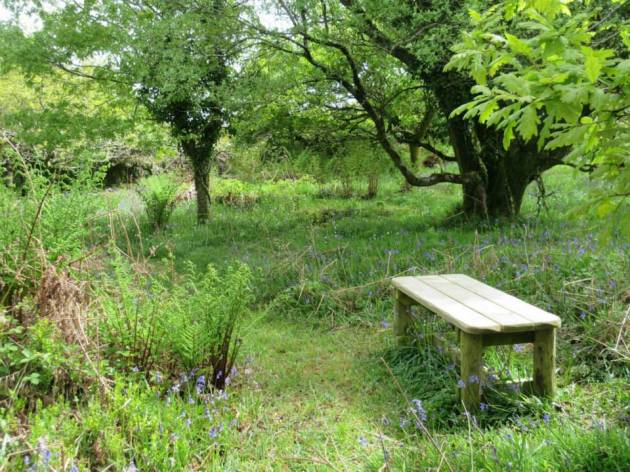 11377136_626094927526012_1260360663377072309_n